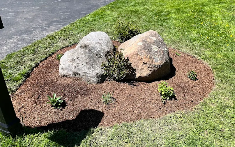 Marcellus Nursery — Landscaper