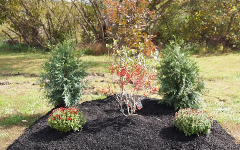 Lowe Products Co — Mulch supplier