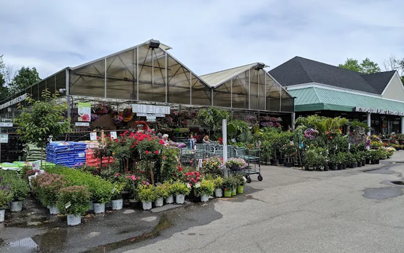 Metropolitan Plant Exchange — Garden center