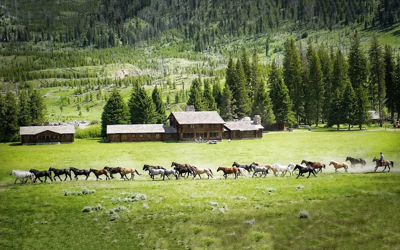 Seed Ranch — Garden center