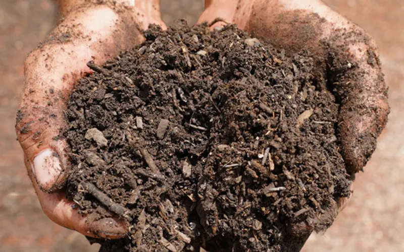 TLCGreen.com LLC - Landscape Supply — Landscaping supply store