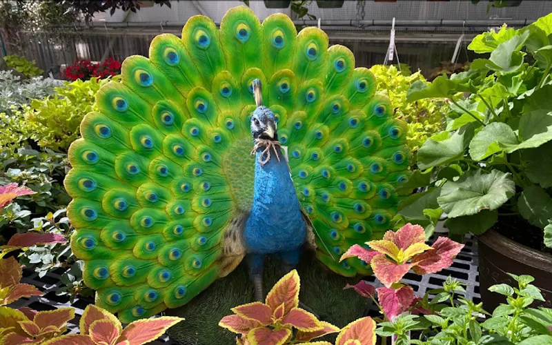 Hagan Ace Garden Center — Garden center