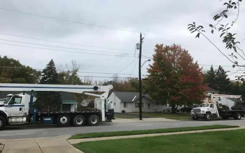 Monaco Tree & Crane Services — Tree service