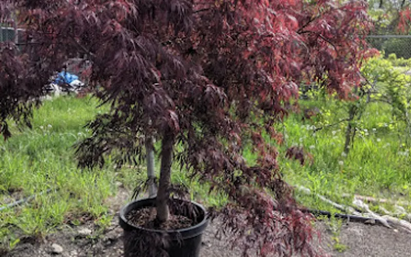 Lurvey Landscape Supply — Landscaping supply store