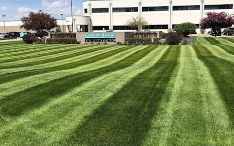 River City Lawnscape Inc — Landscape designer