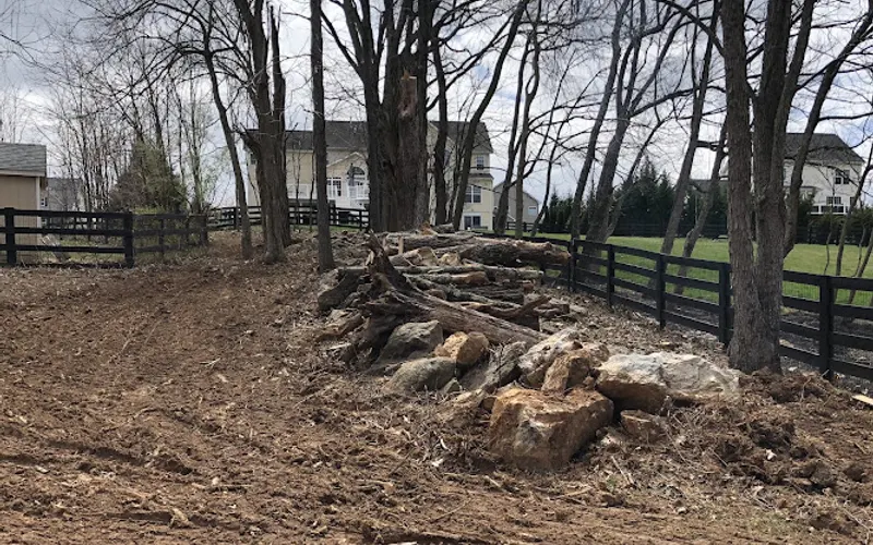 Veterans Forestry Mulching, Land Clearing, and Landscaping — Landscaper