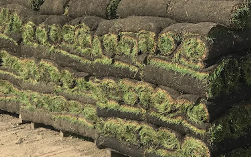 Peltz Sodding, Inc. — Sod supplier
