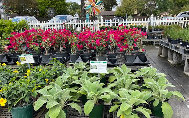 Casaplanta Garden Center — Garden center