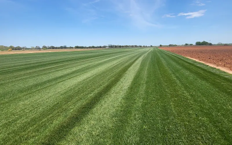 Arkansas Sod and Mulch — Landscaping supply store