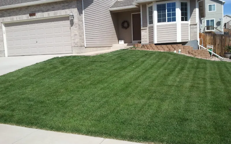 Absolutely Green — Lawn care service