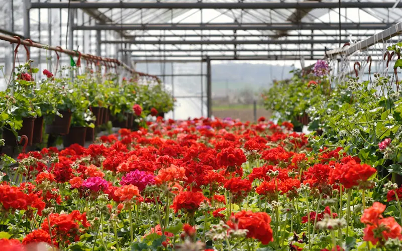 V N C Landscaping & Home & Garden — Plant nursery