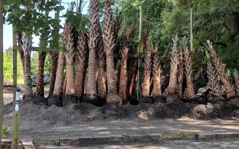 B C Mulch & More Inc — Landscaping supply store