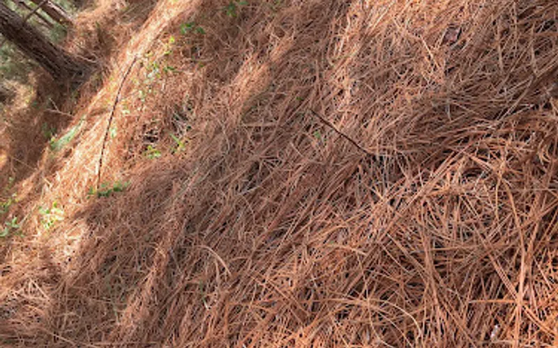 Platinum Straw, LLC — Landscaping supply store