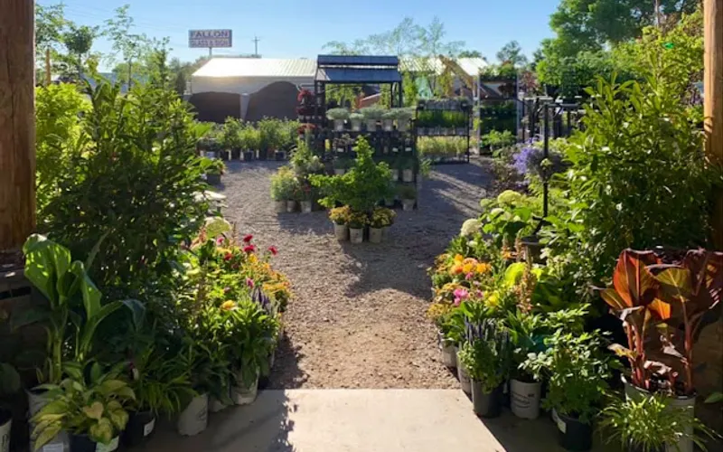 The Village Nursery & Garden Center — Garden center