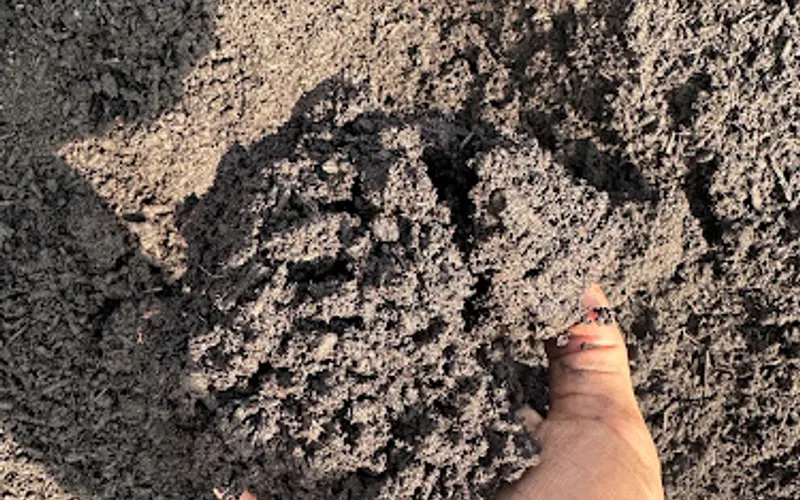 Concrete Creations Mulch and Material — Mulch supplier