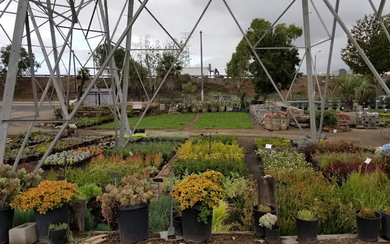 Maria’s Garden Center — Wholesale plant nursery