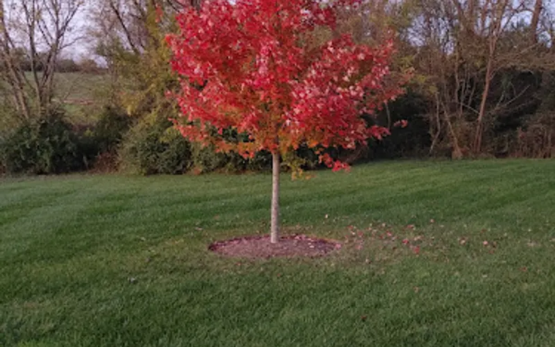 Sticks and Stones Landscape supply — Landscaping supply store