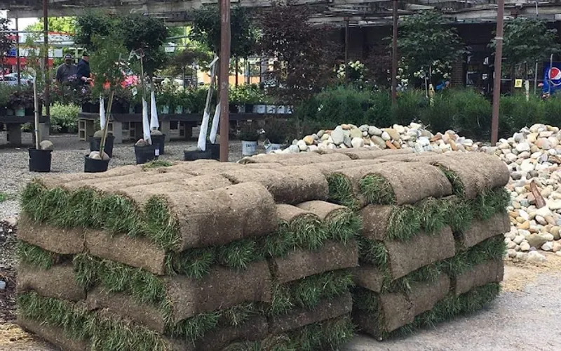 D & L Garden Center — Garden center