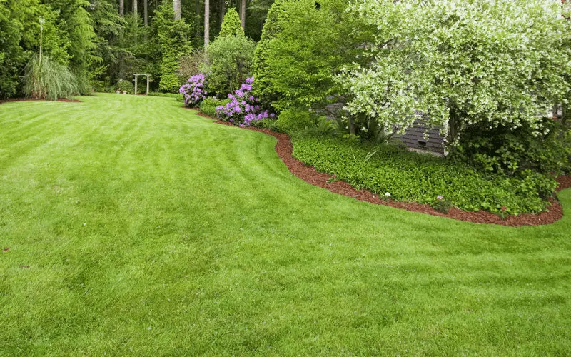 Garden Views — Landscaper