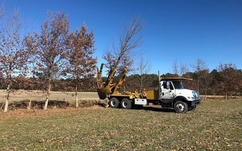 Little's Nursery of Greenville — Landscaper