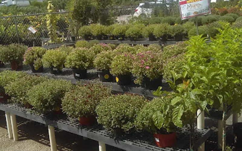 Houston Garden Center — Garden center