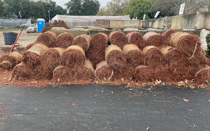 Landscape Depot of Baton Rouge, LLC — Wholesale plant nursery