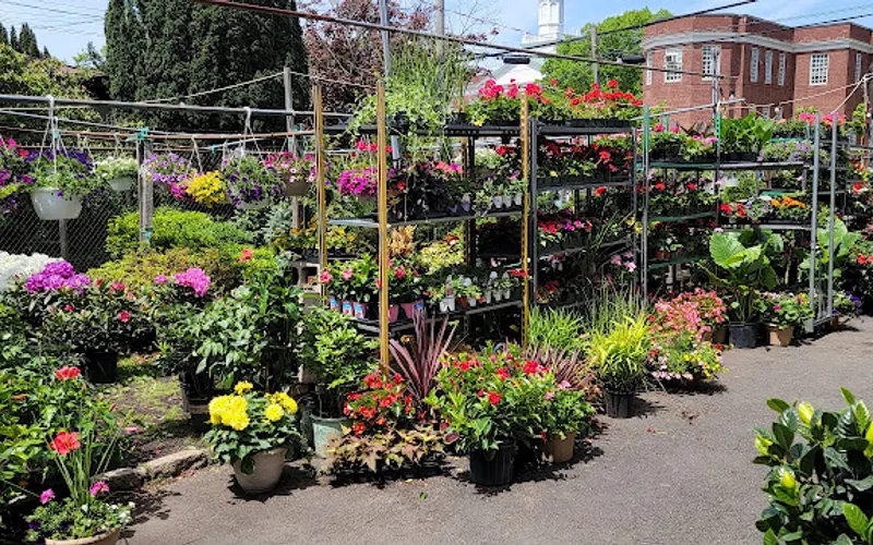 Costantino Nursery Inc — Landscaping supply store