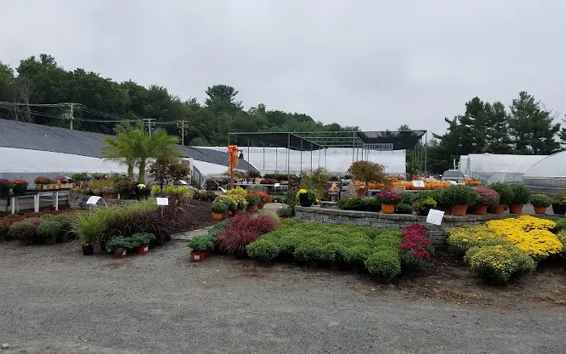 Konjoian's Greenhouses — Garden center