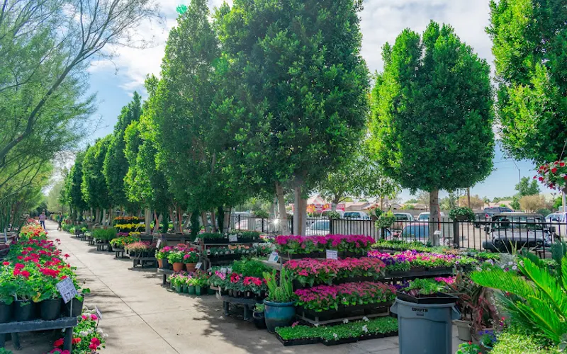 Moon Valley Nurseries — Plant nursery