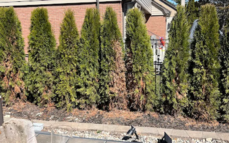 Sinacori Landscaping — Landscaper