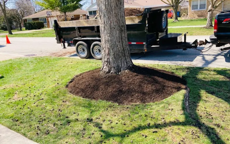 MDiaz Tree Services — Tree service