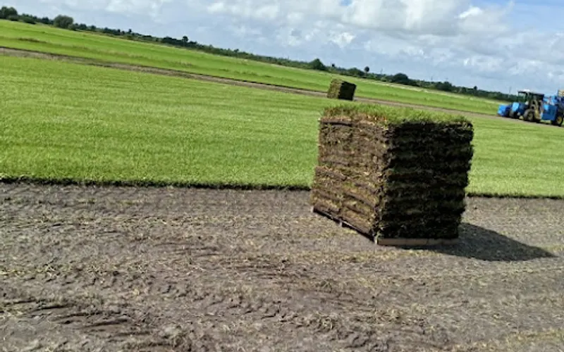 Sod Depot & Gravel — Sand & gravel supplier