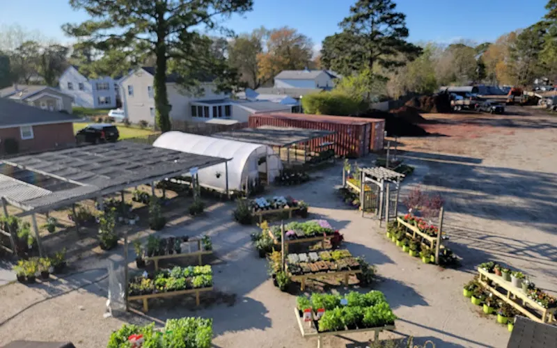 The Blooming British Garden Center (Mercury Garden Center) — Garden center
