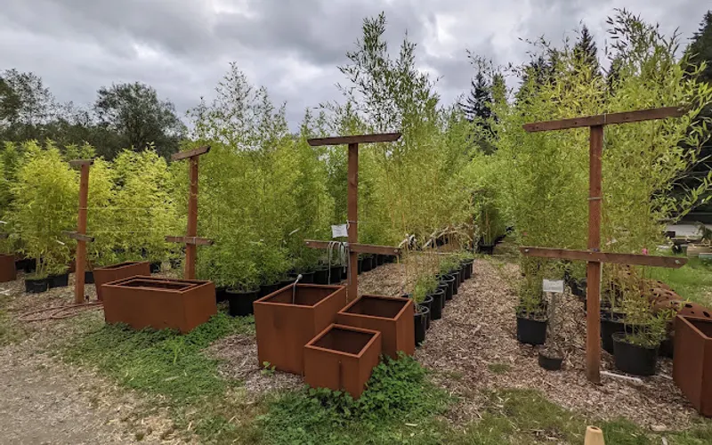 Rock Mountain Products — Garden center