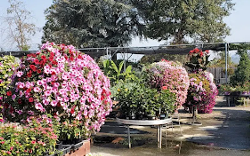 Redwood Nursery — Garden center