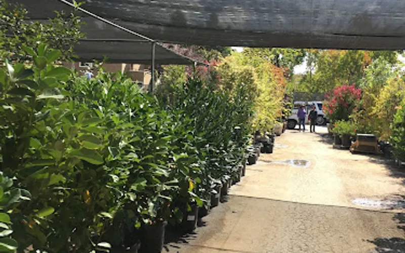 Central Wholesale Nursery — Wholesale plant nursery