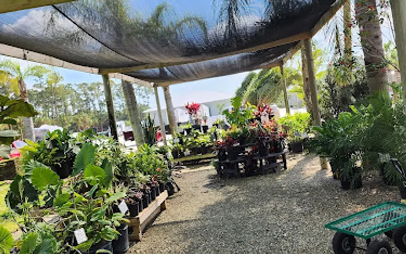 CW Willis Landscaping & Garden Center — Landscaper