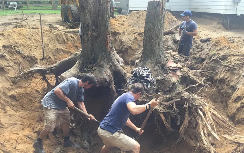 Vista Landscape Design, LLC — Contractor