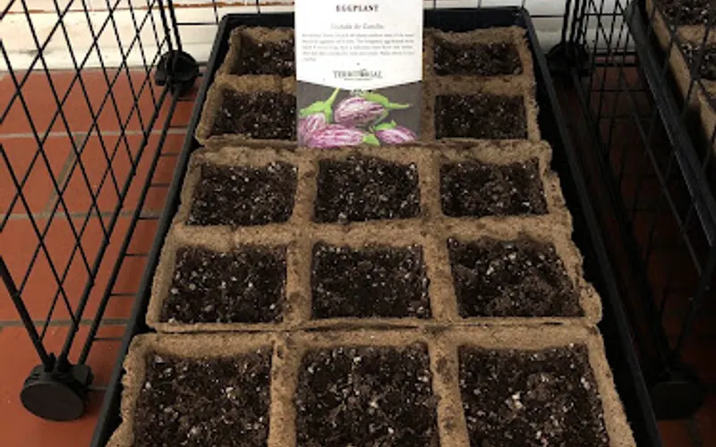 Down to Earth | Home, Garden & Gift — Garden center