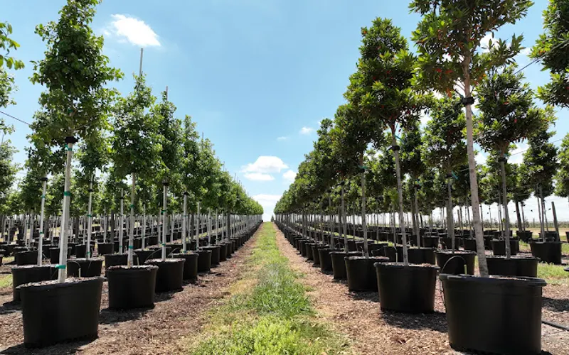 Nursery Supplies Inc., a CREO Company — Plastic products supplier