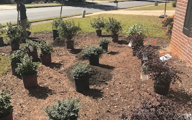 Buck Jones Nursery — Plant nursery