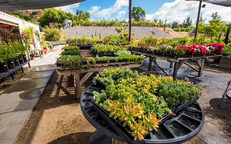 Murrieta Oaks Nursery — Plant nursery