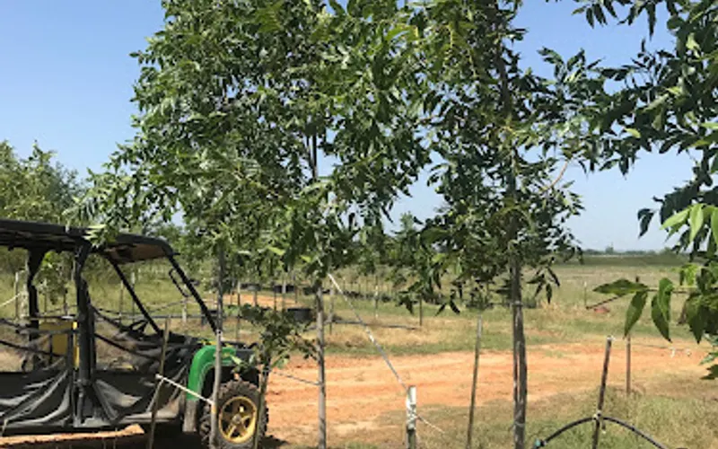 Snider Nursery — Landscaping supply store