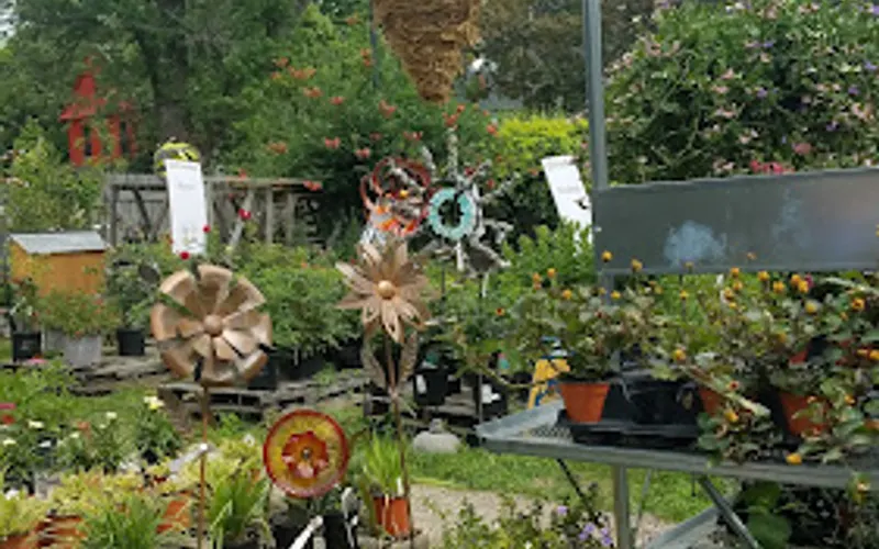 Urban Roots Cooperative Garden Market — Garden center