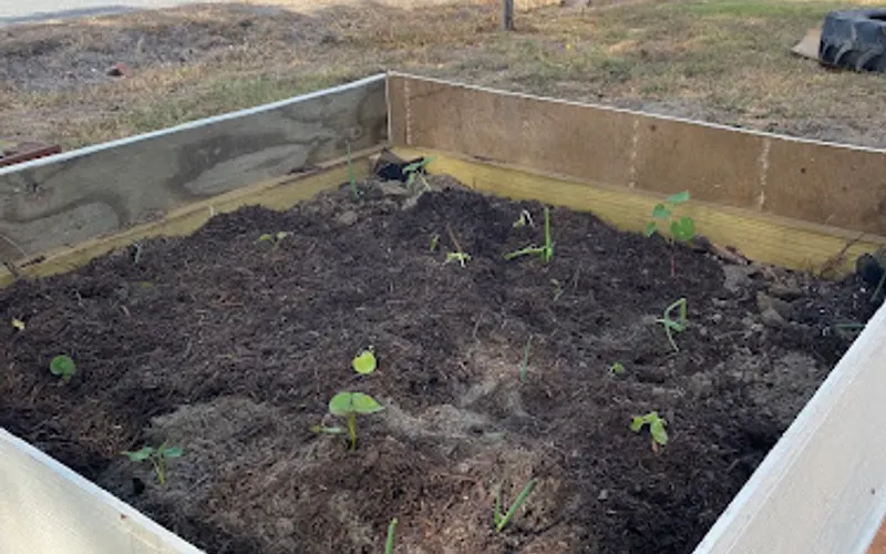 American Composting Inc — Landscaping supply store