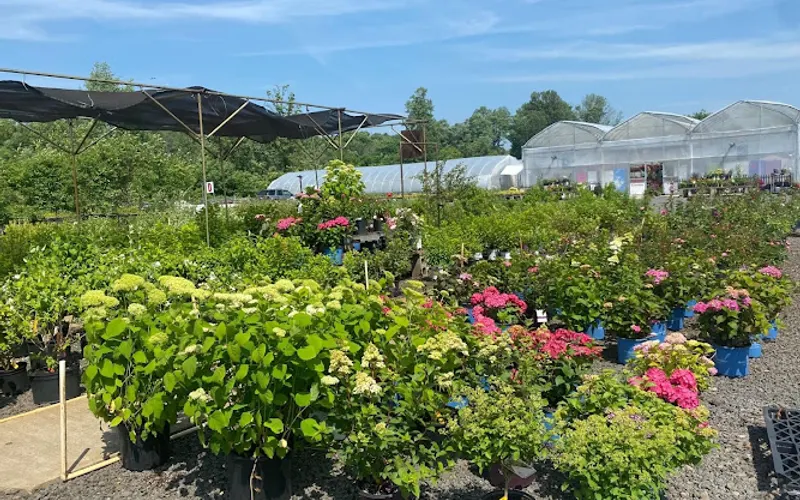 Olney’s Garden and Landscape Center — Garden center