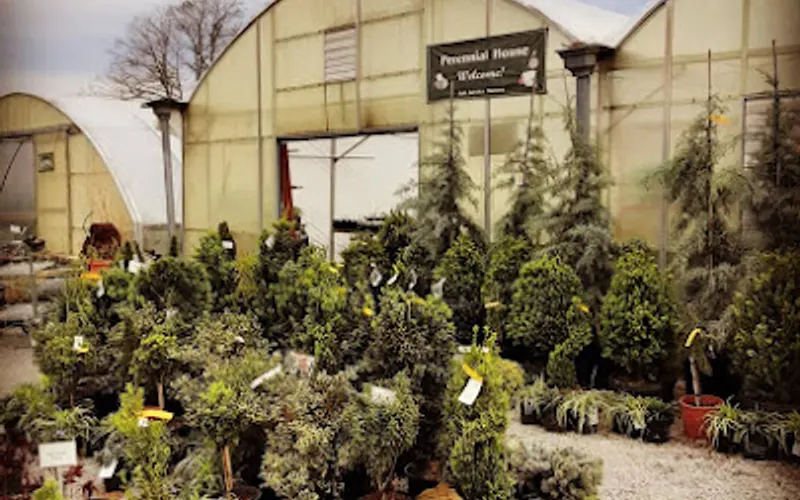 Soil Service Nursery — Landscaping supply store