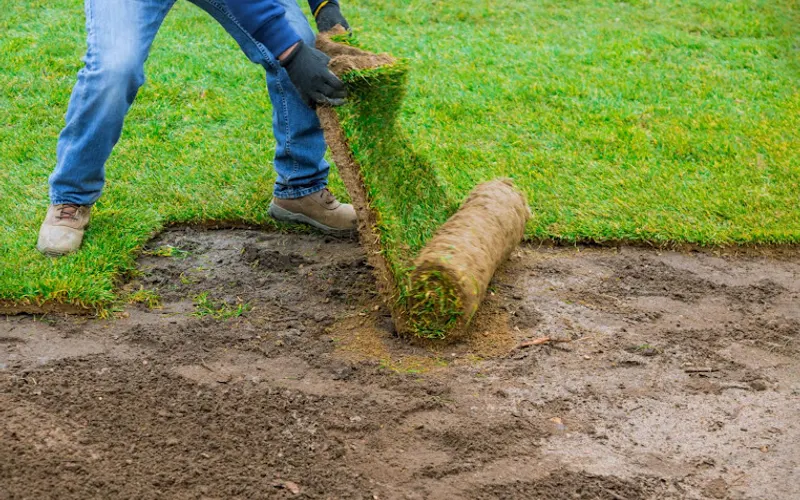Romeo Whiskey Mulch Delivery Service — Mulch supplier