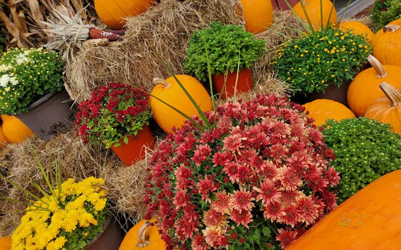 Outside Matters — Landscaping supply store