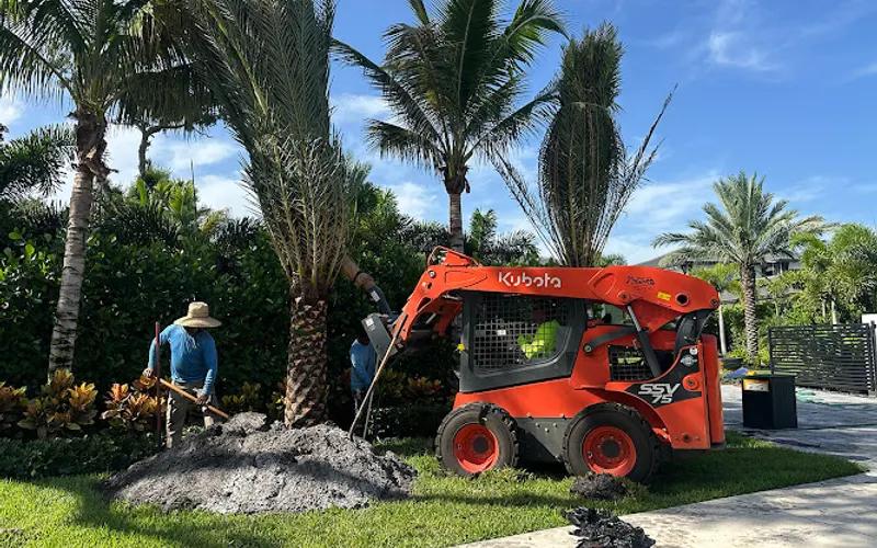 Natural Bloom Landscaping — Landscape designer